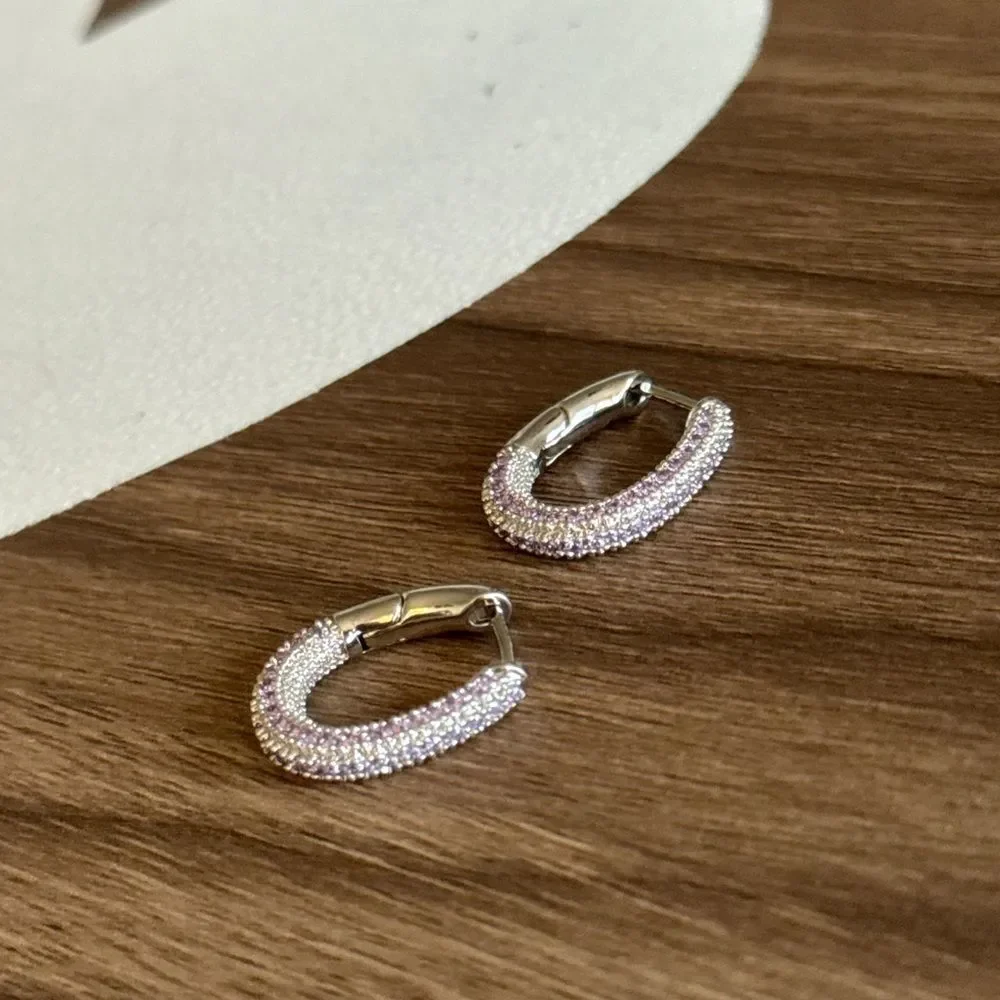 Purple Hoop Earrings Q723